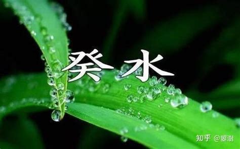 甲木癸水|癸水与其他十天干的关系